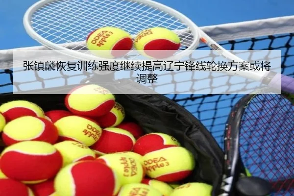 张镇麟恢复训练强度继续提高辽宁锋线轮换方案或将调整