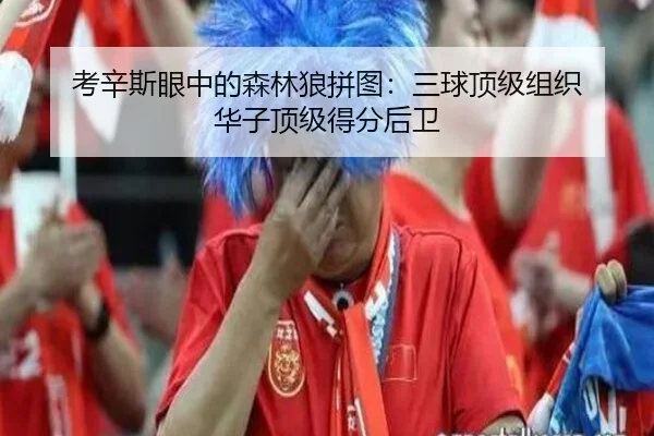 考辛斯眼中的森林狼拼图：三球顶级组织 华子顶级得分后卫